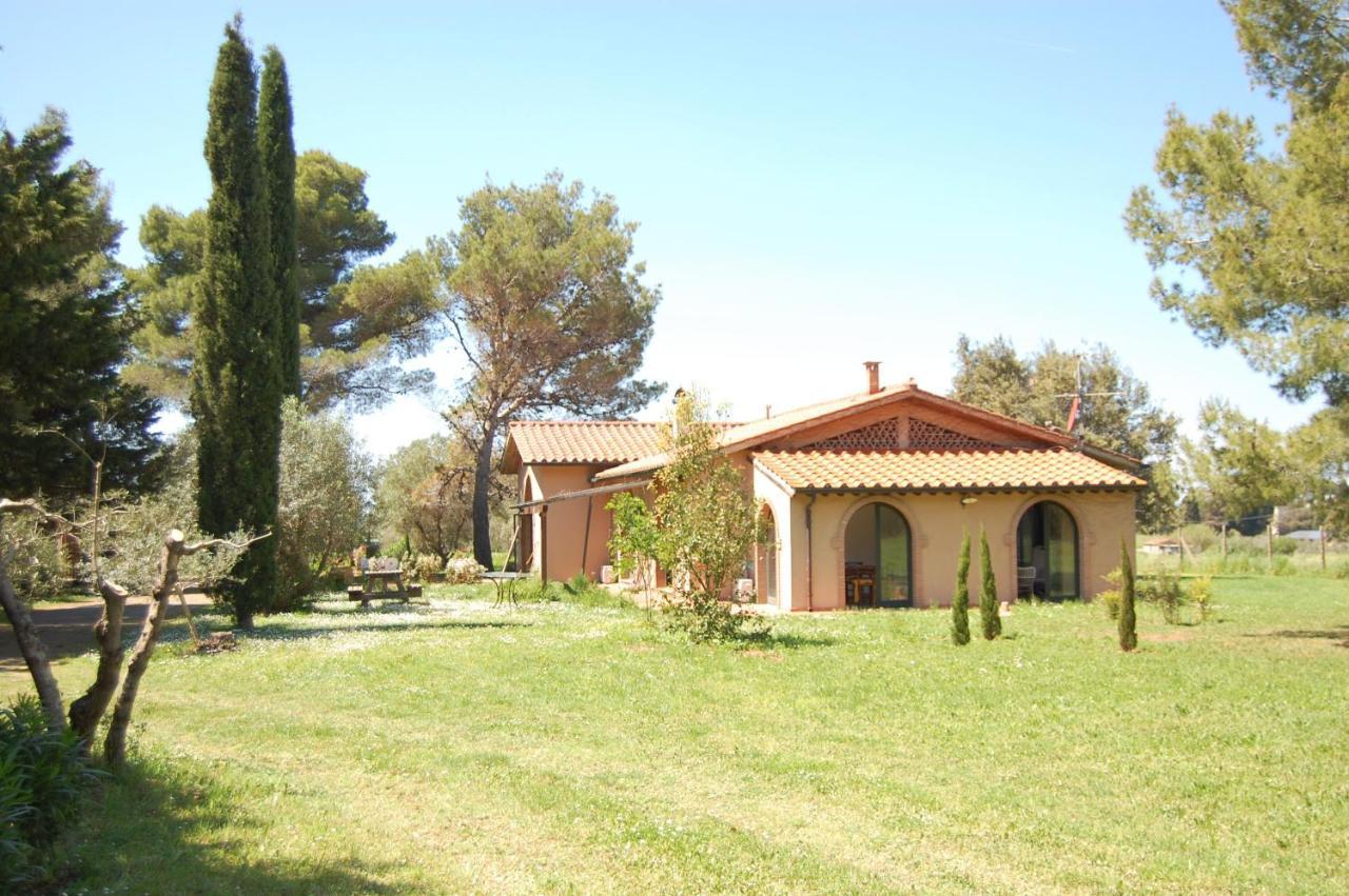 Relais Casale Il Poggetto - Olivo 1 By Zoom In Earth Lägenhet Cecina  Exteriör bild